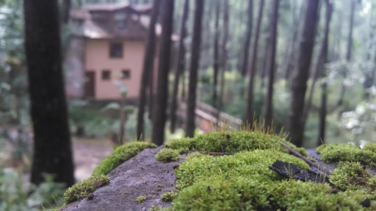 Cabana Rustica A 1Km De Cascada Mazamitla Exteriér fotografie