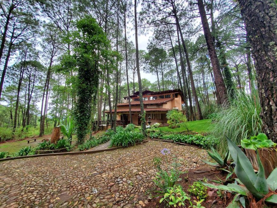 Cabana Rustica A 1Km De Cascada Mazamitla Exteriér fotografie