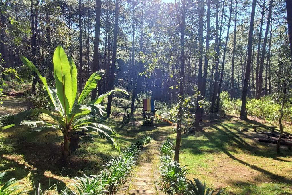 Cabana Rustica A 1Km De Cascada Mazamitla Exteriér fotografie
